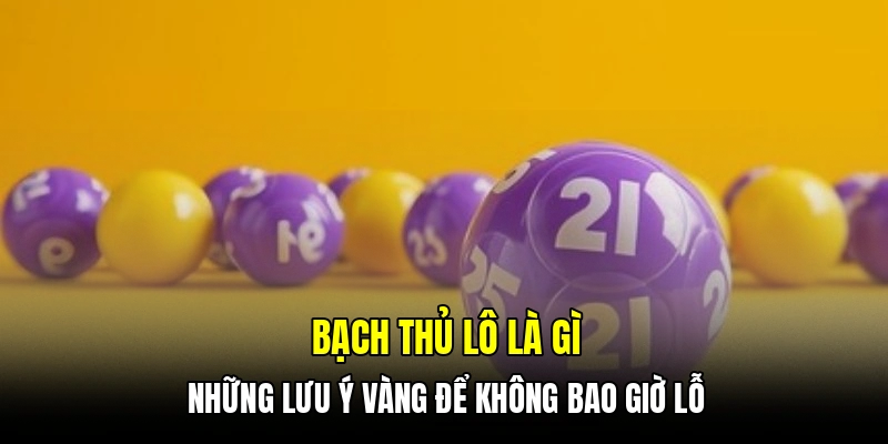 Bạch thủ lô là gì - Những lưu ý vàng để không bao giờ lỗ