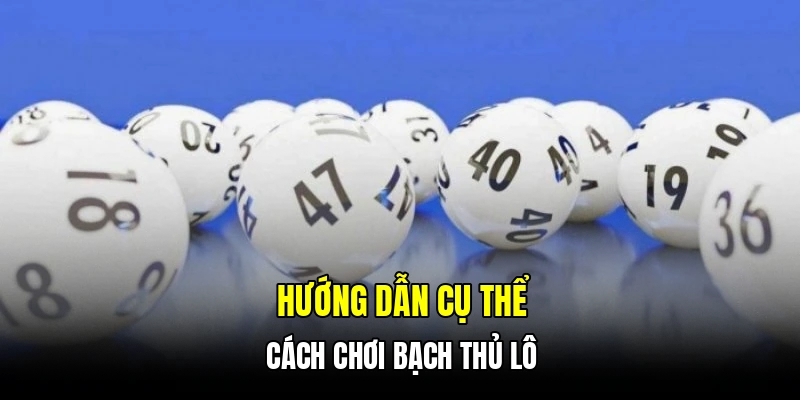 Hướng dẫn cụ thể cách chơi bạch thủ lô