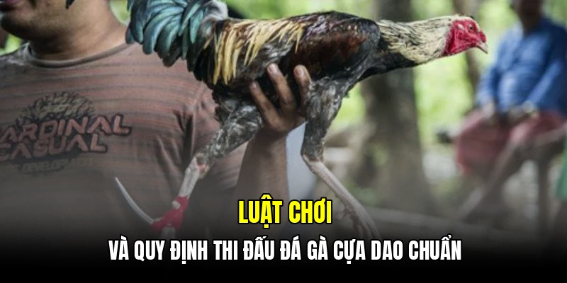 Luật chơi và quy định thi đấu đá gà cựa dao chuẩn
