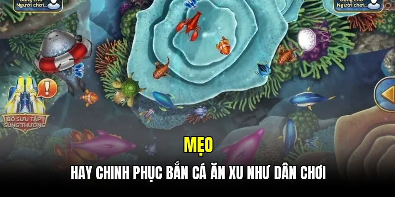 Mẹo hay chinh phục bắn cá ăn xu như dân chơi