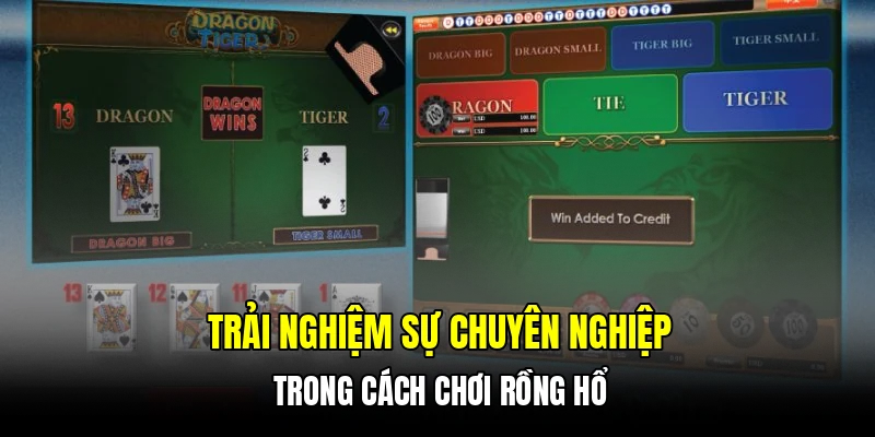 Trải nghiệm sự chuyên nghiệp trong cách chơi rồng hổ